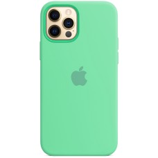 Чохол Silicone Case Apple iPhone 12/12 Pro (Spearmint)