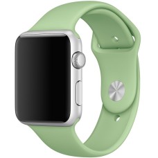 Ремешок Apple Watch 42mm (20)