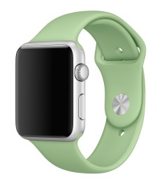Ремешок Apple Watch 42mm (20)