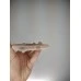 Силіконовий оригінальний чохол RoundCam для Apple iPhone 7 Plus  /  8 Plus (08) рожевий пісок