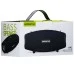 Портативная акустика Hopestar H41 (Black) Портативная акустика Hopestar H41 (Black)