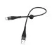 Кабель USB Borofone Munificent BX32 (Type-C) (Чорний)