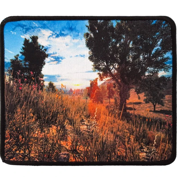 Килимок для мишки H-1 (21 * 25 * 1.7) (Sunset)