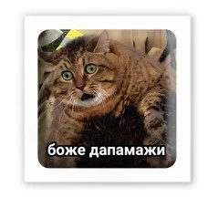 3D-стикер 