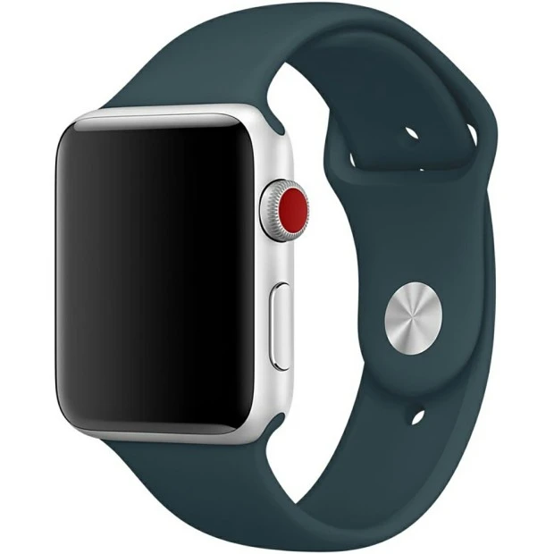 Ремешок Apple Watch 38mm (36)