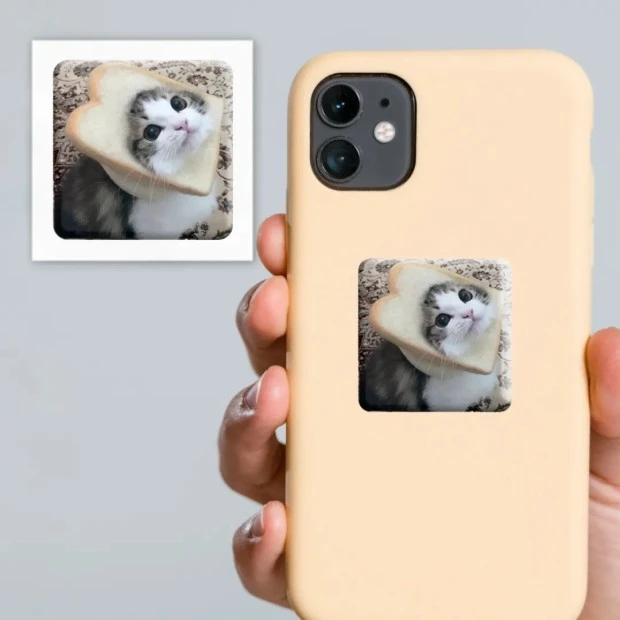 3D-стикер "Мем смешной кот"