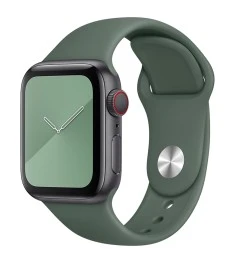 Ремешок Apple Watch Silicone 38 / 40mm (70)