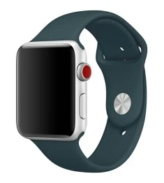 Apple Watch Band 42mm (36)
