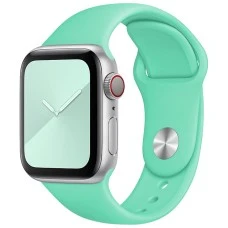 Ремешок Apple Watch Silicone 42 / 44 / 49mm (49) Aquamarine