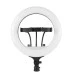 Набор для съемки LED-лампа Fill Light RL-14 (36cm) Original (Чёрный) Набор для съемки LED-лампа Fill Light RL-14 (36cm) Original (Чёрный)