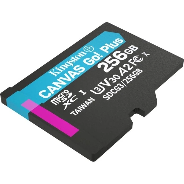 Карта пам'яті Kingston Canvas Go! Plus SDXC 256Gb (UHS-1) (Class 10)