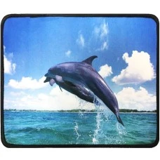 Коврик для мышки №19 (25*21cm) (Dolphin)