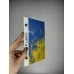 Защитная плёнка Design Hydrogel HD Ukrainian Series (Scuffs) Защитная плёнка Design Hydrogel HD Ukrainian Series (Scuffs)