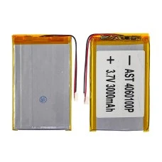 Аккумулятор 4060100P универсальный с контроллером, 4 х 60 х 100 мм (2500 mAh)/ для смартфона, планше