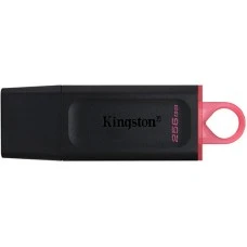 USB 3.2 флеш-накопитель Kingston DataTraveler Exodia DTX 256Gb
