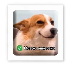 3D-стикер 