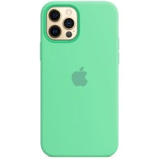 Чехол Silicone Case Apple iPhone 12 / 12 Pro (Spearmint)