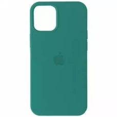 Оригінальний силіконовий чохол Apple для iPhone 13 (82), колір Cactus